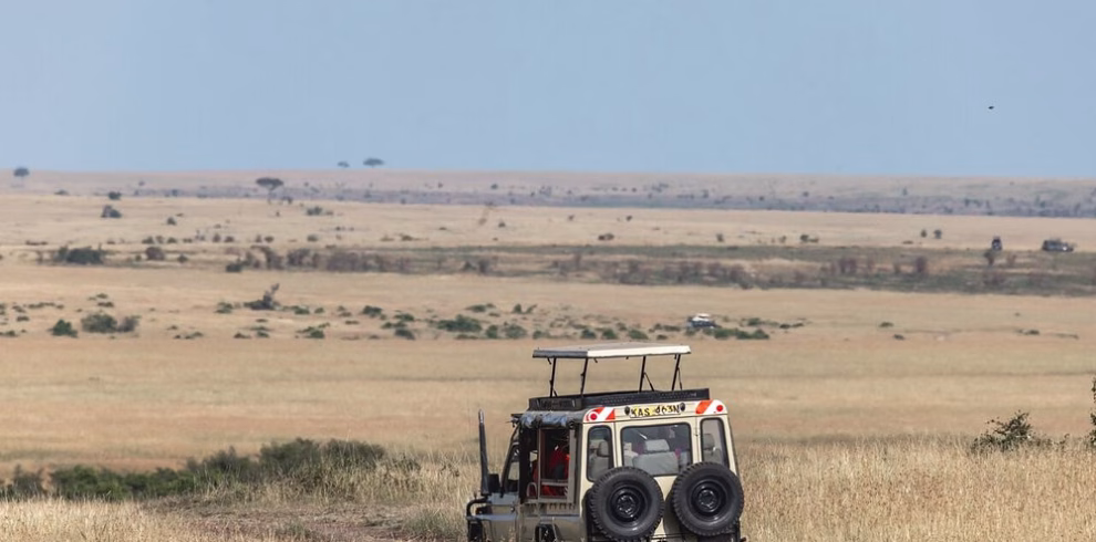 Game drive in Masai Mara during 3-day flying safari from Diani Beach or Mombasa with stay at Sentrim Mara Camp