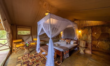 African safari tours from the beach