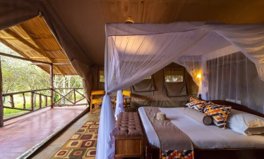 Masai Mara safari from Diani Beach