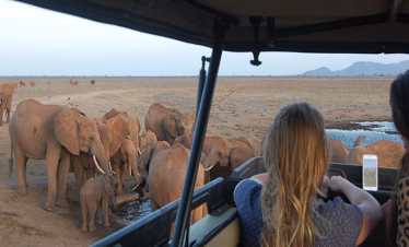 Wity Tours safari guide pointing out wildlife on a Tsavo West game drive
