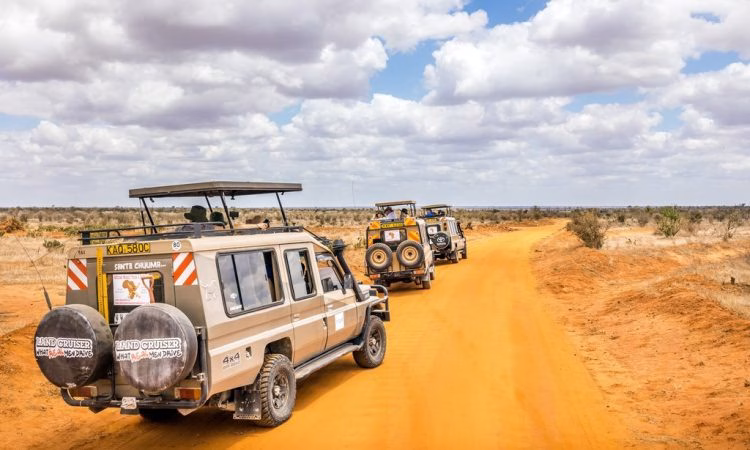 Safari starting from Mombasa or Diani Beach