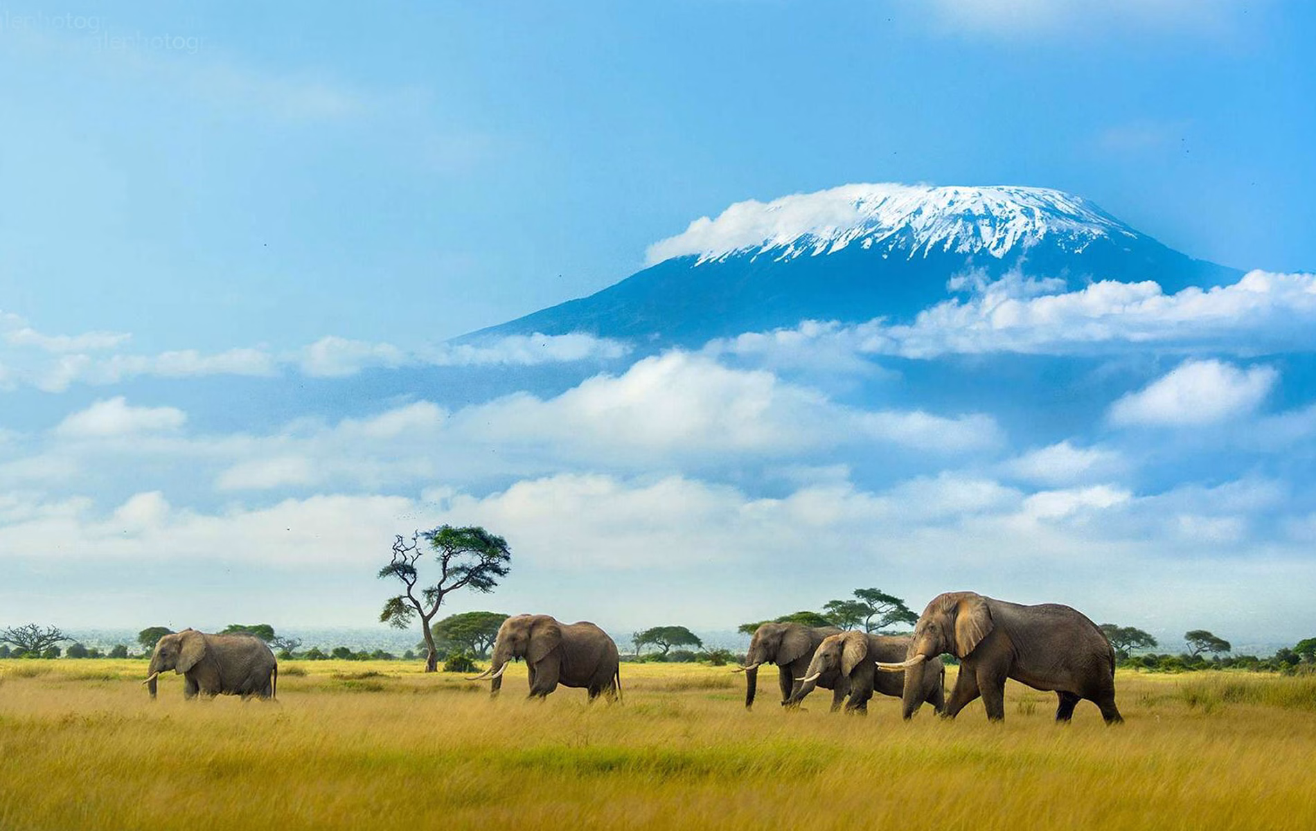 Kenya Flying Safaris from Diani Beach or Mombasa