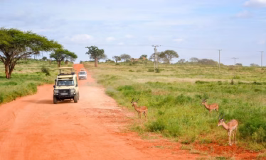 3 days Tsavo safari from Diani Beach