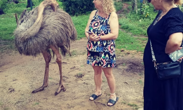 Kenya coastal safari experiences