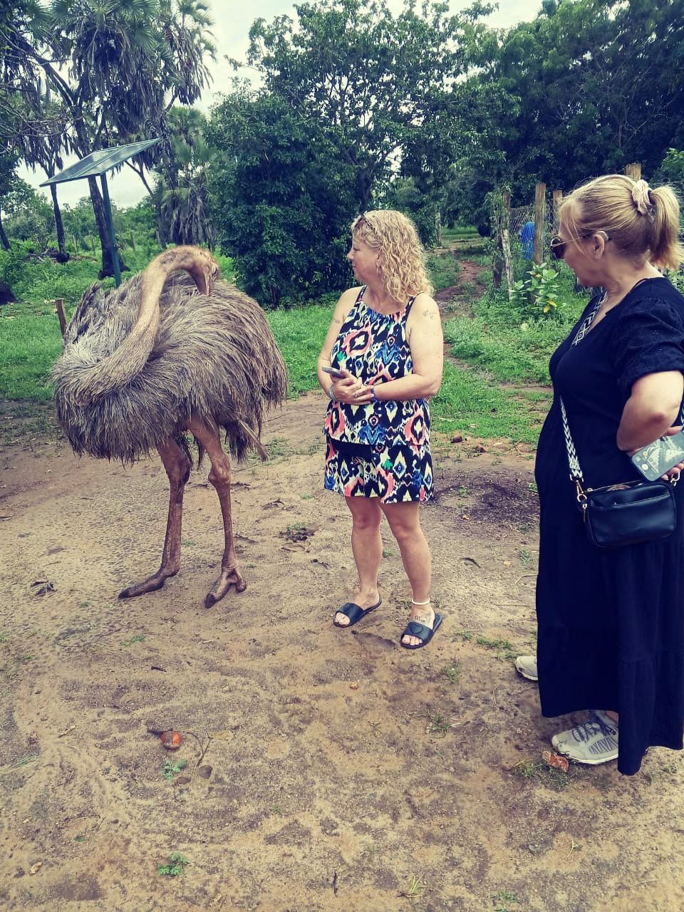 Kenya coastal safari experiences