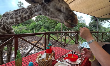 Bora Bora Wildlife Park Diani half day tour
