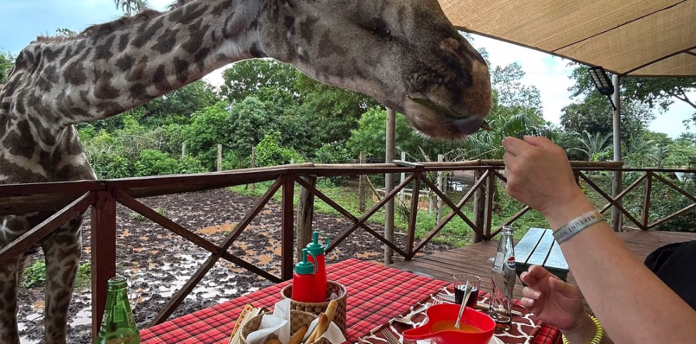 Bora Bora Wildlife Park Diani half day tour