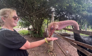 Bora Bora Wildlife Park Diani half day tour